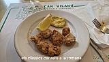 Can Vilar&oacute;