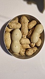 Cacauets farcits - Can Fortuny - Centelles